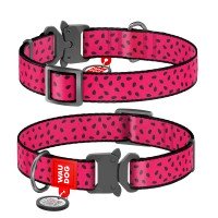 Ошейник WAUDOG Nylon с QR паспортом, рисунок "Арбуз", металлическая пряжка-фастекс  Разноцветный, Нейлон (31-49 см)