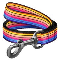 Поводок WAUDOG Nylon, рисунок  "Линии 1" Разноцветный, Нейлон (122 см)