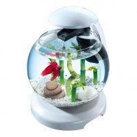 Tetra Аквариум Cascade Globe 6,8L  БЕЛЫЙ д/петушка и зол.рыбки