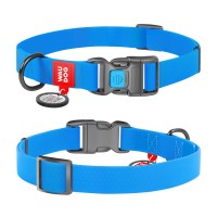 Ошейник WAUDOG Waterproof с QR паспортом, водостойкий, пластиковая пряжка-фастекс голубой, COLLARTEX, Размер: XS (23-35  см)