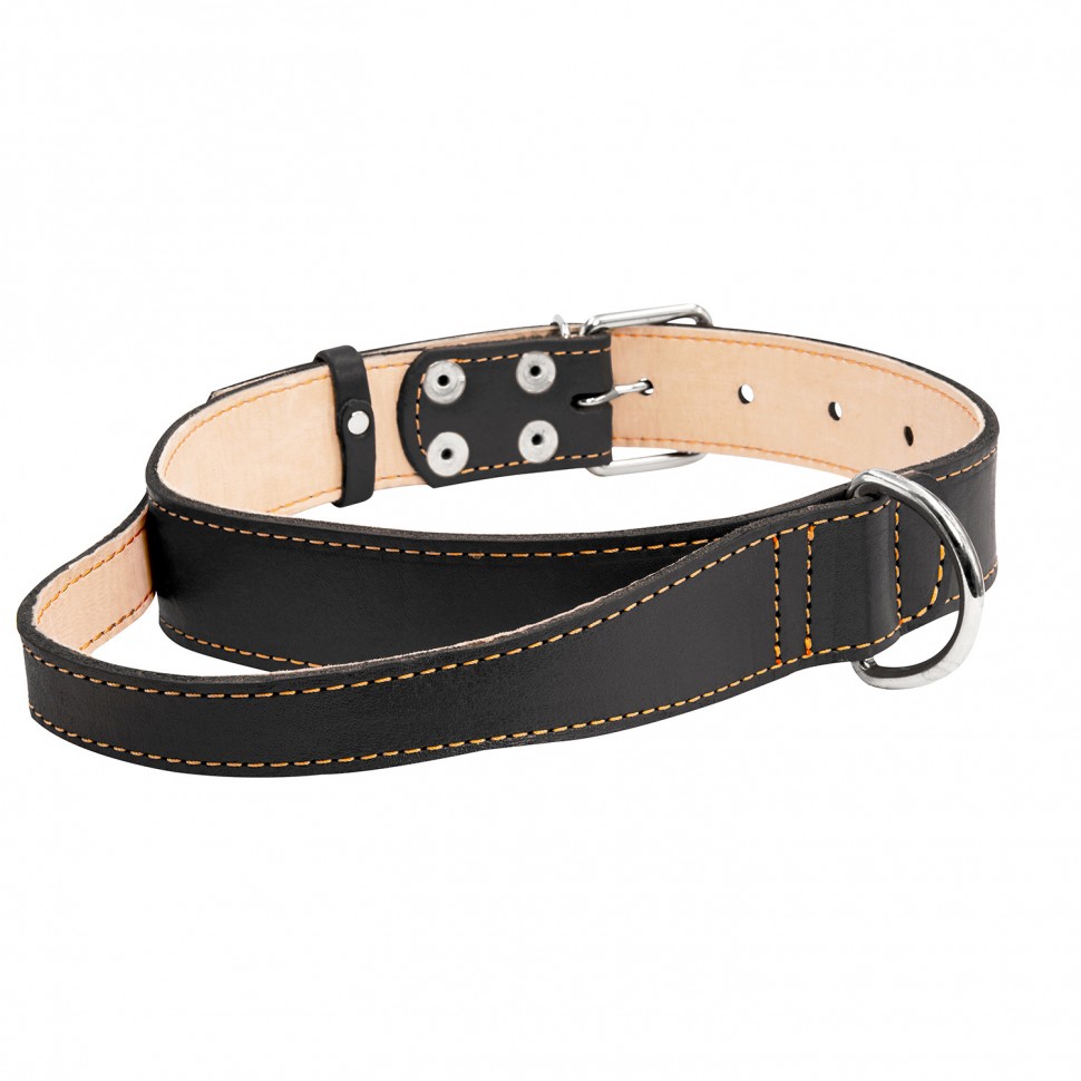 Ошейник "CoLLaR" двойной с ручкой  Черный, кожа, Размер: XL