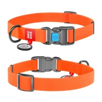 Ошейник WAUDOG Waterproof с QR паспортом, водостойкий, пластиковая пряжка-фастекс оранжевый, COLLARTEX, Размер: XS (23-35  см)