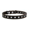 Ошейник безразмерный CoLLaR черный, кожа, Размер: s (50 см)