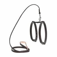 Шлея CoLLaR с поводком для мелких собак Черный, кожа, Обхват груди 93-105 см