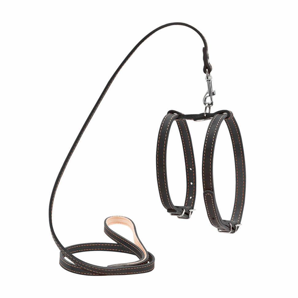 Шлея CoLLaR с поводком для мелких собак Черный, кожа, Обхват груди 93-105 см