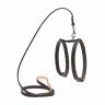Шлея CoLLaR с поводком для мелких собак Черный, кожа, Обхват груди 93-105 см