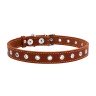 Ошейник безразмерный CoLLaR коричневый, кожа, Размер: s (50 см)