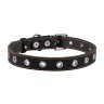 Ошейник безразмерный CoLLaR черный, кожа, Размер: M (60 см)