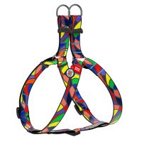 Шлея WAUDOG Nylon с QR паспортом, рисунок "Витраж" Разноцветый, нейлон, Обхват груди 50-80 см
