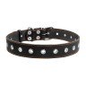 Ошейник безразмерный CoLLaR черный, кожа, Размер: L (69 см)