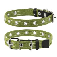 Ошейник брезентовый CoLLaR, х/б тесьма зеленый, брезент, Размер: M (53 см)