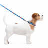 Поводок WAUDOG Nylon, рисунок  "Этно синий" Разноцветый, нейлонXS (122 см)