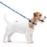 Поводок WAUDOG Nylon, рисунок  "Этно синий" Разноцветый, нейлонXS (122 см)