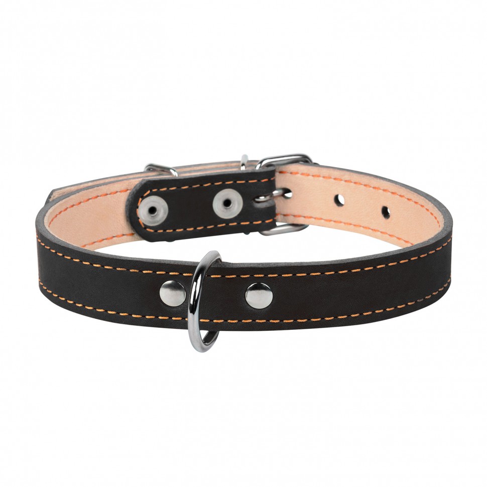 Ошейник двойной CoLLaR черный, кожа, Размер: s (32-40 см)
