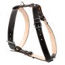 Шлея двойная CoLLaR для крупных собак черный, кожа, Обхват груди 87-102 см