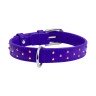 Ошейник WAUDOG Glamour с клеевыми стразами фиолетовый, кожа, Размер: M (38-49 см)
