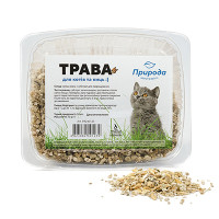Трава быстрорастущ.д/кош