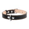 Ошейник двойной CoLLaR черный, кожа, Размер: M (38-50 см)