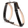 Шлея двойная CoLLaR для крупных собак черный, кожа, Обхват груди 69-81 см
