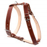 Шлея двойная CoLLaR для крупных собак коричневый, кожа, Обхват груди 69-81 см