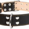 Ошейник двойной CoLLaR черный, кожа, Размер: XL (57-69 см)