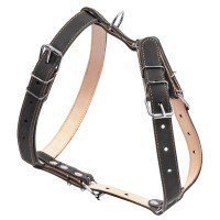 Шлея двойная CoLLaR для средних собак черный, кожа, Обхват груди 30-40 см