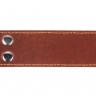 Ошейник двойной CoLLaR коричневый, кожа, Размер: XL (57-69 см)