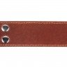 Ошейник двойной CoLLaR коричневый, кожа, Размер: XL (57-69 см)