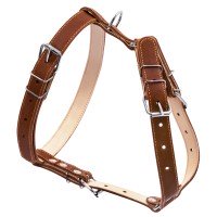 Шлея двойная CoLLaR для средних собак коричневый, кожа, Обхват груди 30-40 см