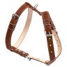 Шлея двойная CoLLaR для средних собак коричневый, кожа, Обхват груди 30-40 см