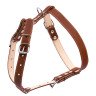 Шлея двойная CoLLaR для средних собак коричневый, кожа, Обхват груди 30-40 см