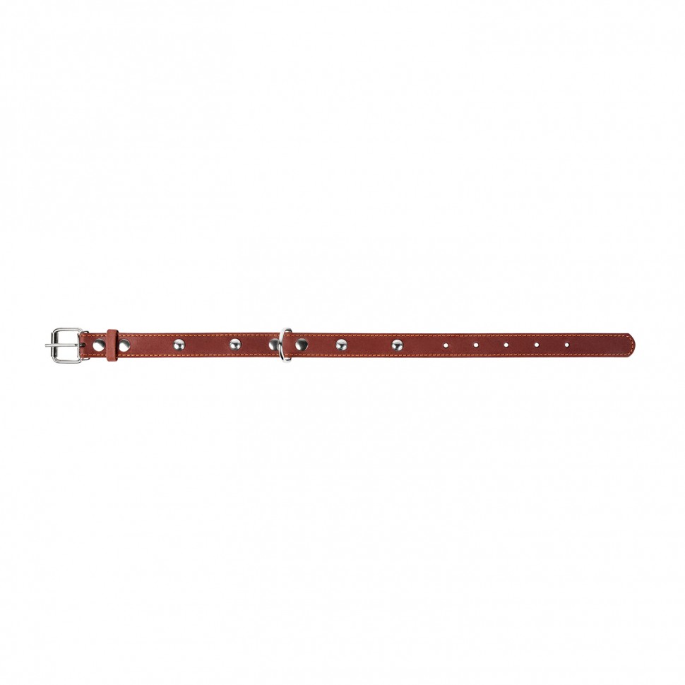 Ошейник двойной CoLLaR  с украшением коричневый, кожа, Размер: xs (27-35 см)
