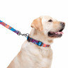 Поводок WAUDOG Nylon, рисунок "Лето" Разноцветый, нейлонS (122 см)