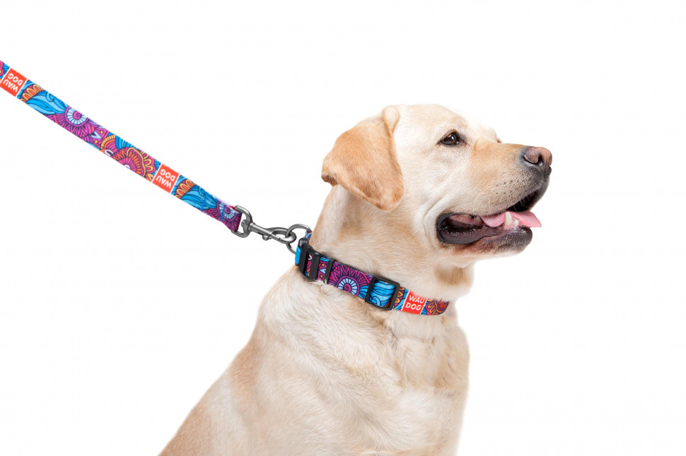 Поводок WAUDOG Nylon, рисунок "Лето" Разноцветый, нейлонS (122 см)
