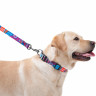Поводок WAUDOG Nylon, рисунок "Лето" Разноцветый, нейлонS (122 см)