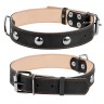 Ошейник двойной CoLLaR  с украшением черный, кожа, Размер: L (47-62 см)