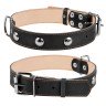 Ошейник двойной CoLLaR  с украшением черный, кожа, Размер: L (47-62 см)