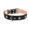 Ошейник двойной CoLLaR  с украшением черный, кожа, Размер: L (47-62 см)