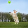 Летающая тарелка FLYBER, Зеленый, 62175
