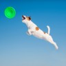 Летающая тарелка FLYBER, Зеленый, 62175