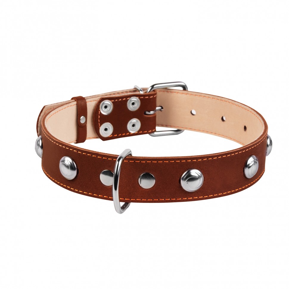 Ошейник двойной CoLLaR  с украшением коричневый, кожа, Размер: L (47-62 см)