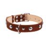 Ошейник двойной CoLLaR  с украшением коричневый, кожа, Размер: L (47-62 см)