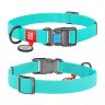 Ошейник WAUDOG Waterproof с QR паспортом, светящийся, пластиковая пряжка-фастекс ментоловый, COLLARTEX, Размер: L (35-58  см)