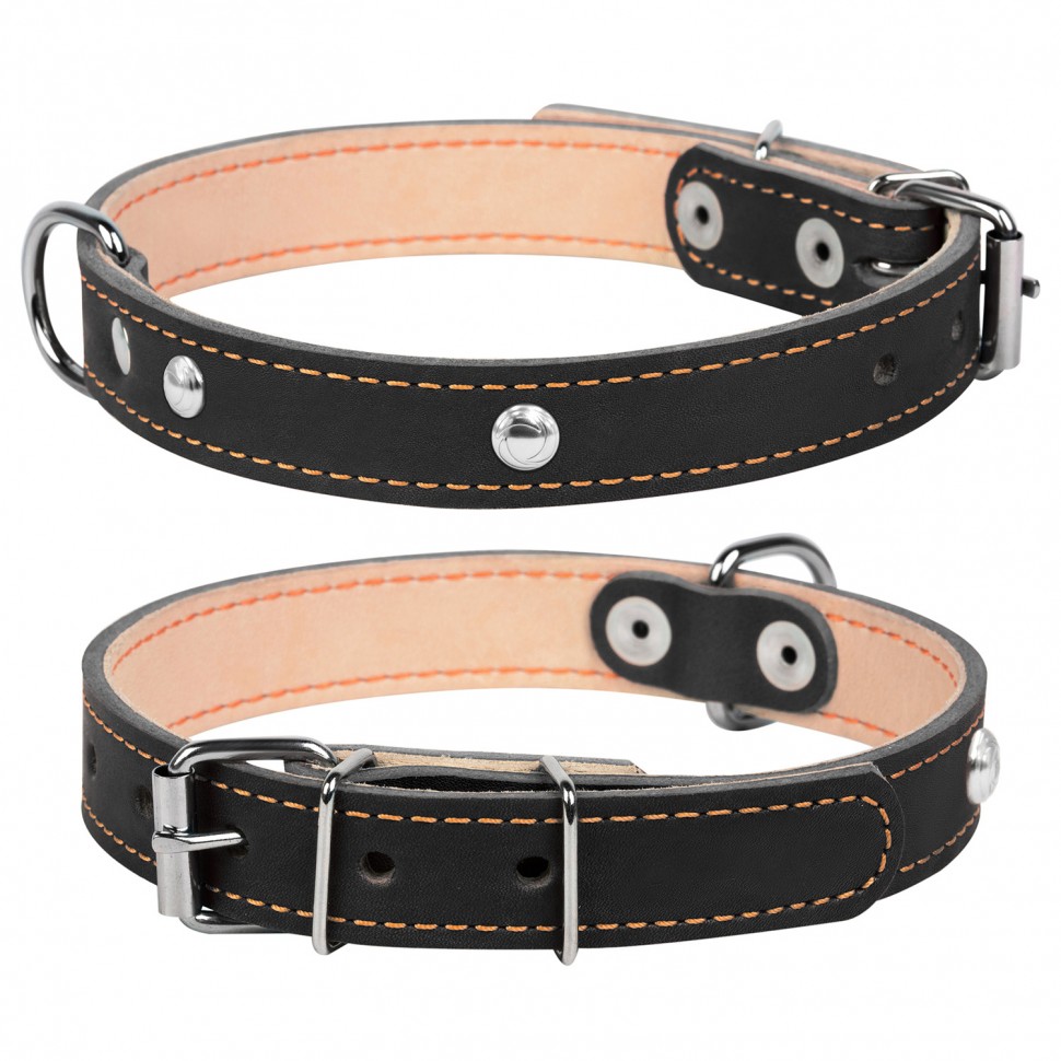 Ошейник двойной CoLLaR с украшением черный, кожа, Размер: s (32-40 см)