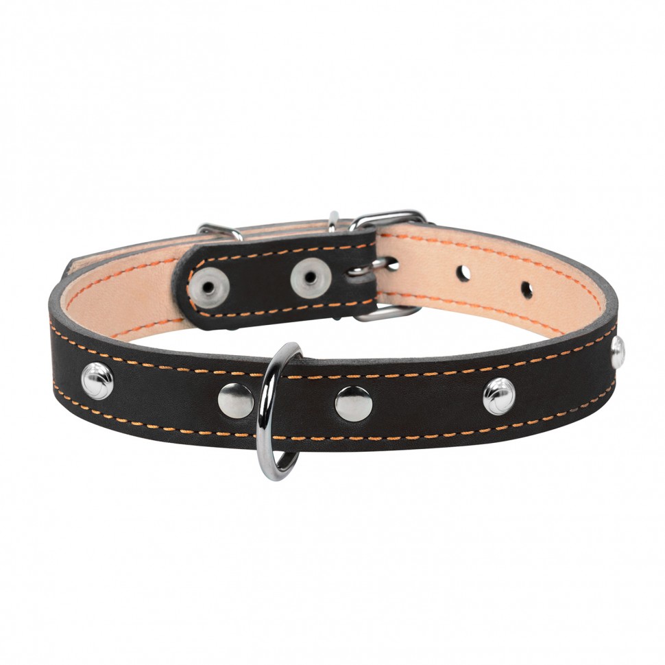 Ошейник двойной CoLLaR с украшением черный, кожа, Размер: s (32-40 см)