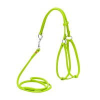 Шлея круглая WAUDOG Glamour с поводком для кошек и мелких собак Салатовый, кожа, Обхват груди 30-50 см