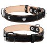 Ошейник двойной CoLLaR с украшением черный, кожа, Размер: M (38-50 см)