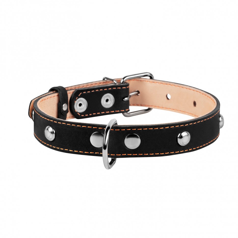 Ошейник двойной CoLLaR с украшением черный, кожа, Размер: M (38-50 см)