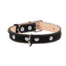 Ошейник двойной CoLLaR с украшением черный, кожа, Размер: M (38-50 см)