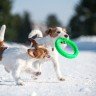 Кольцо PitchDog, Зеленый, 62375